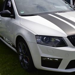 6. Internationales Skodatreffen